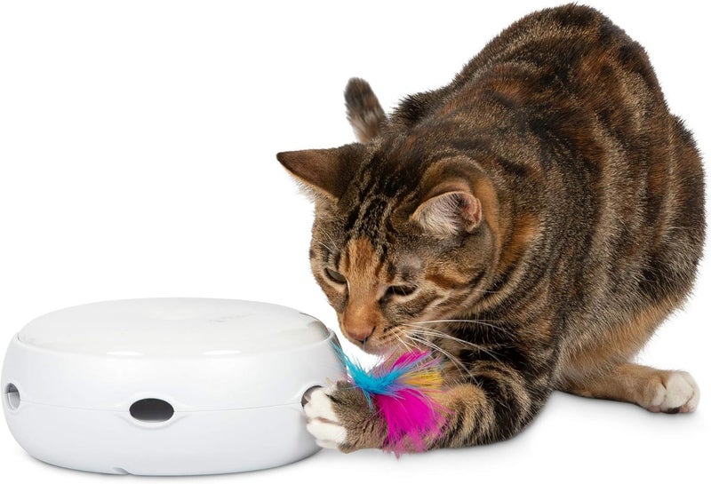 PetFusion Ambush Interactive Cat Toys for Indoor Cats - New & Improved Cat Feather Toys (Quiet 3 Modes, Nighttime Light, Auto Shut Off, Batteries Incl) Replacement Feathers Available 12 Month Warranty - Image 1