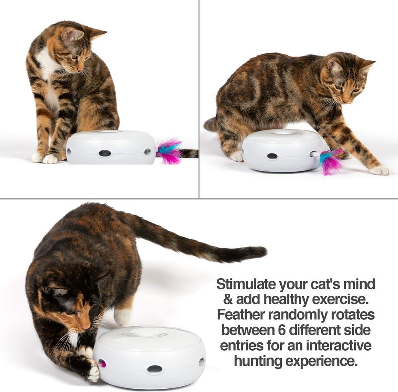 PetFusion Ambush Interactive Cat Toys for Indoor Cats - New & Improved Cat Feather Toys (Quiet 3 Modes, Nighttime Light, Auto Shut Off, Batteries Incl) Replacement Feathers Available 12 Month Warranty - Image 3