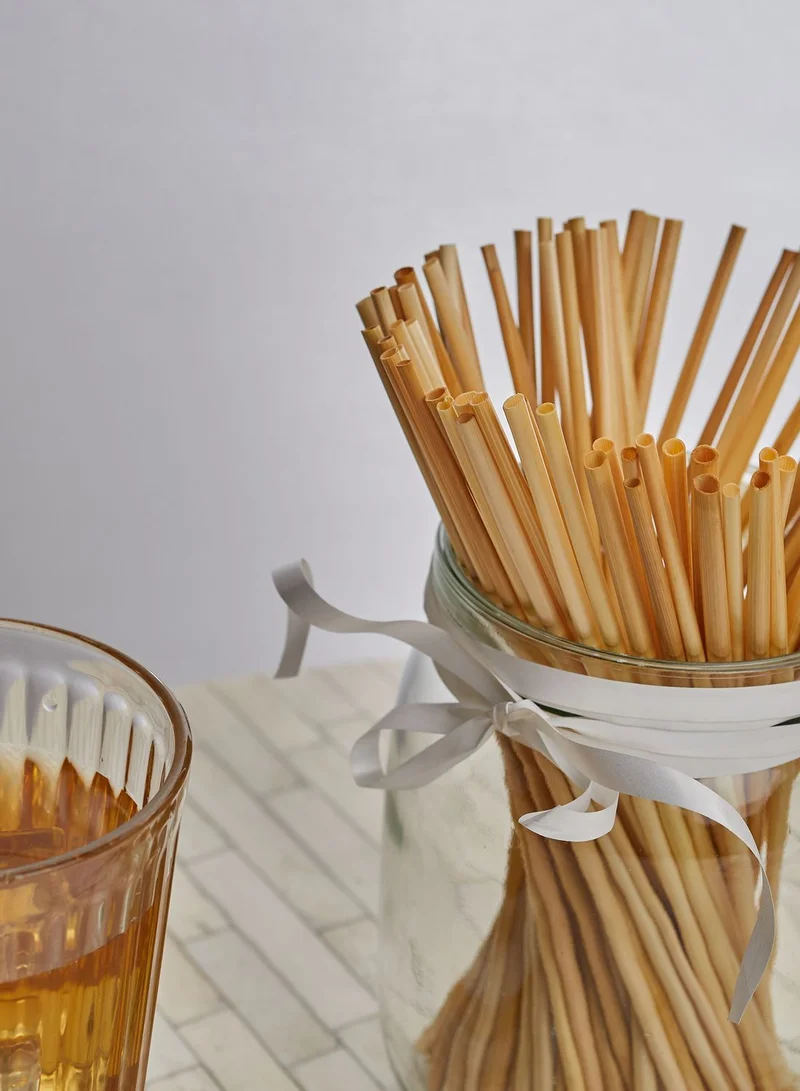 KIKKERLAND Eco Friendly Straws