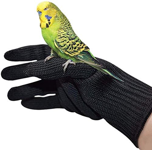 alfyng Bird Training Anti-Bite Gloves, Small Animal Handling Gloves, Chewing Protective Gloves for Small Animal Pet Squirrels Hamster Parrotlets Cockatiels Finch Macaw (1 Pair) - Image 1