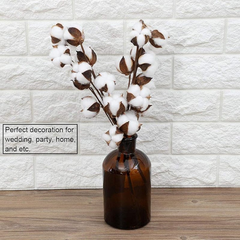 3 Pcs Cotton Boll Stems 10 Bolls Each 60cm Dried Flowers Wedding Home Decor - Image 5