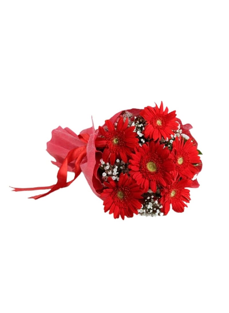 EG2I EG2i 6 Red Gerberas with White Gypso Or Green Fillers Wrapping With Red Paper and Red Ribbon  - Image 1
