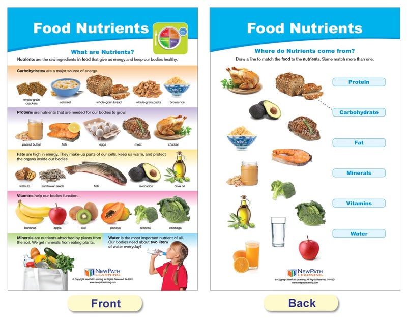 New Path Learning NewPath MyPlate - Food & Nutrition Bulletin Board Charts, Gr 1-4, Set/8 - Laminated, Double-Sided, Full-Color, 12" x 18" (94-1120) - Image 3