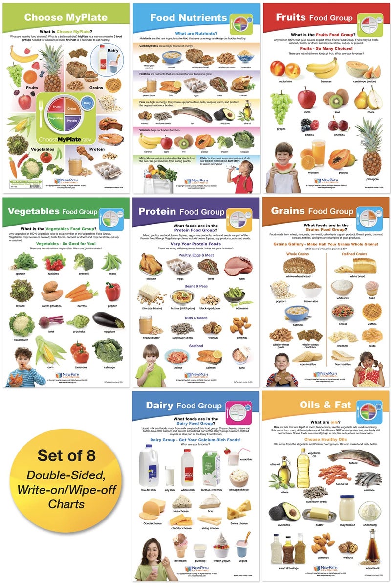 New Path Learning NewPath MyPlate - Food & Nutrition Bulletin Board Charts, Gr 1-4, Set/8 - Laminated, Double-Sided, Full-Color, 12" x 18" (94-1120) - Image 1