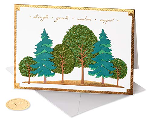 Papyrus Fathers Day Card for Dad (Made Every Difference In My Life) - Image 4