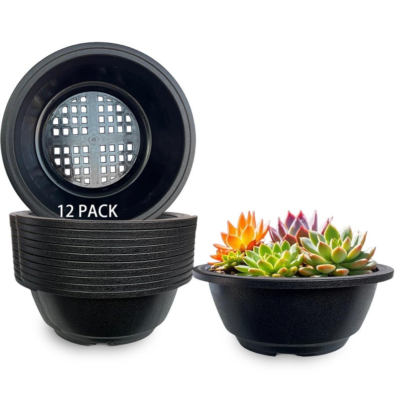 MUZHI 12PACK Matte Black Succulent Bonsai Round Planter Bowl Pot with Drainage Plastic Cactus Flat Garden Plant Bowl Pots 63
