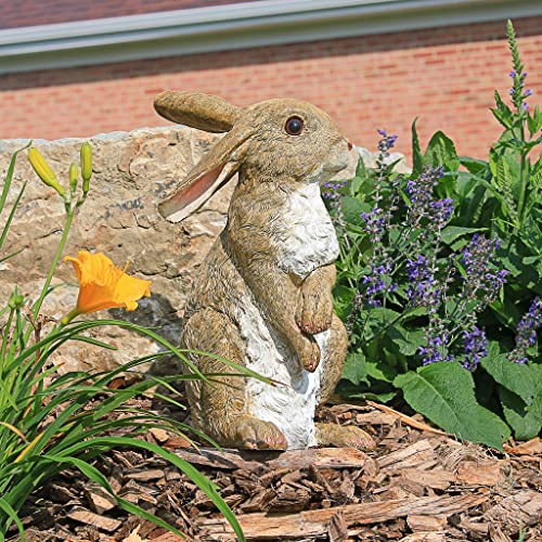Design Toscano QM200681 Hopper the Bunny Standing Rabbit Indoor/Outdoor Garden Statue, 6 Inches Wide, 11 Inches Tall, Handcast Polyresin, Full Color Finish - Image 2
