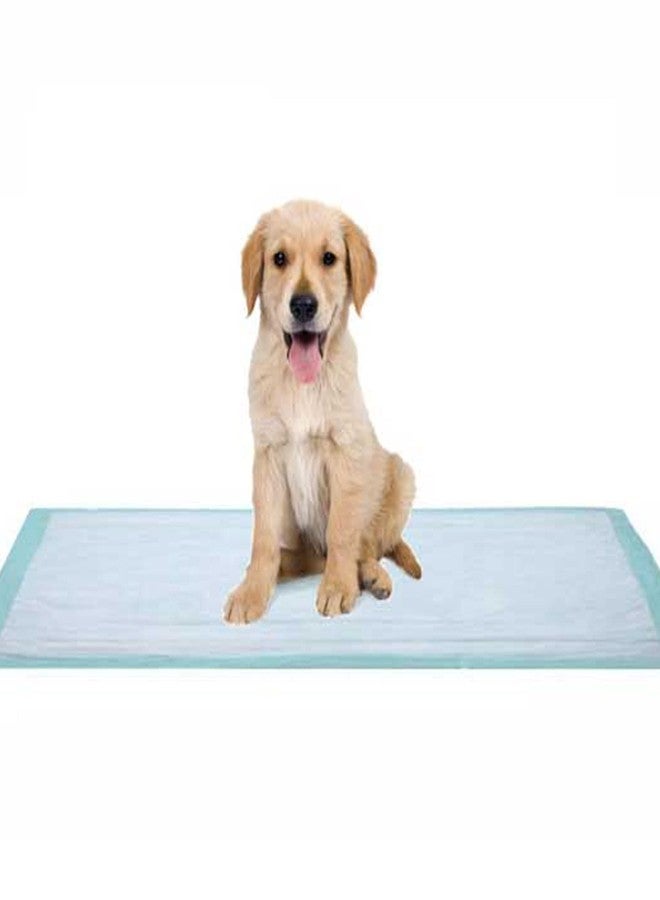 Dukal Fluff Underpads, 17" x 24", 100-Pack - Image 4
