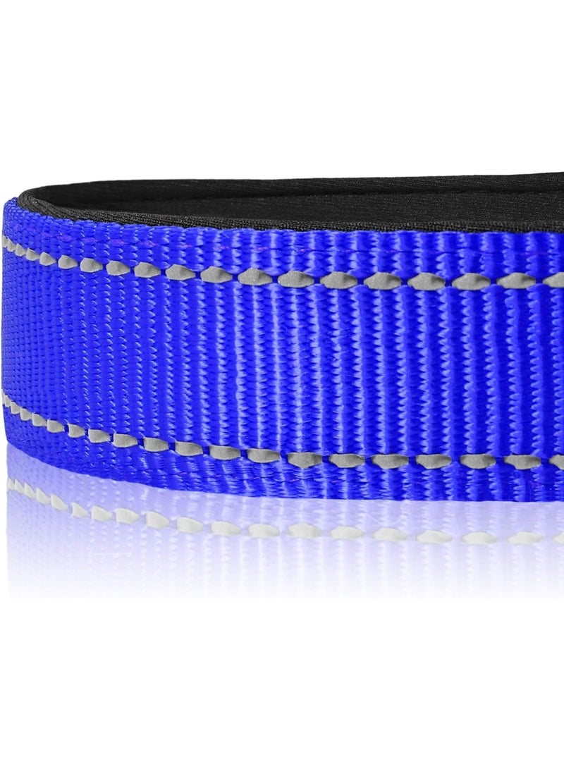 Q TRIPLE A Reflective Dog Collar with Soft Neoprene Padding, Metal D-Ring and Adjustable Length, Premium Nylon Material (Color: Blue) - Image 2