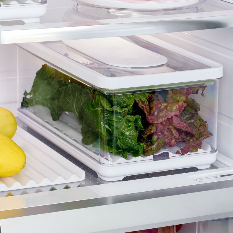 InterDesign iDesign iD Fresh Food Storage  Large Bin - Image 2