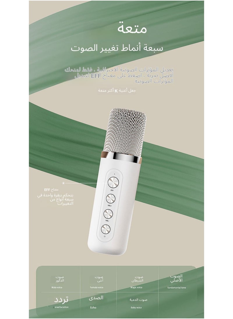 Karaoke singing U segment Bluetooth KTV dual microphone audio machine with screen and rhythm light