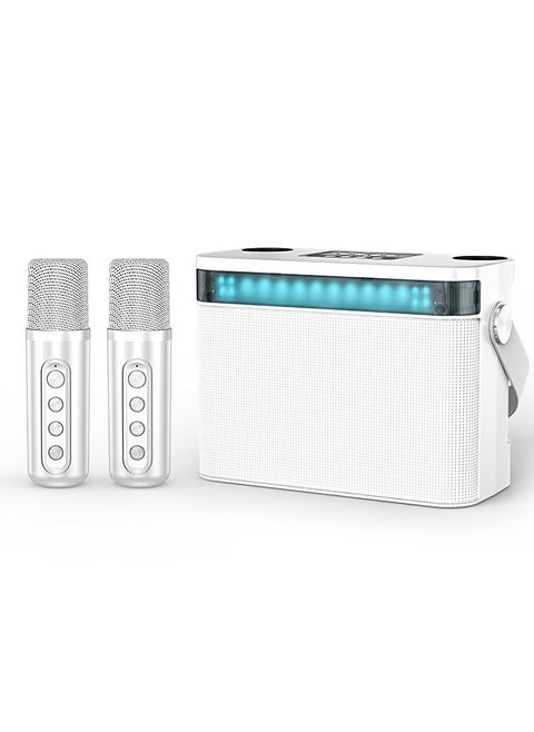 Karaoke singing U segment Bluetooth KTV dual microphone audio machine with screen and rhythm light