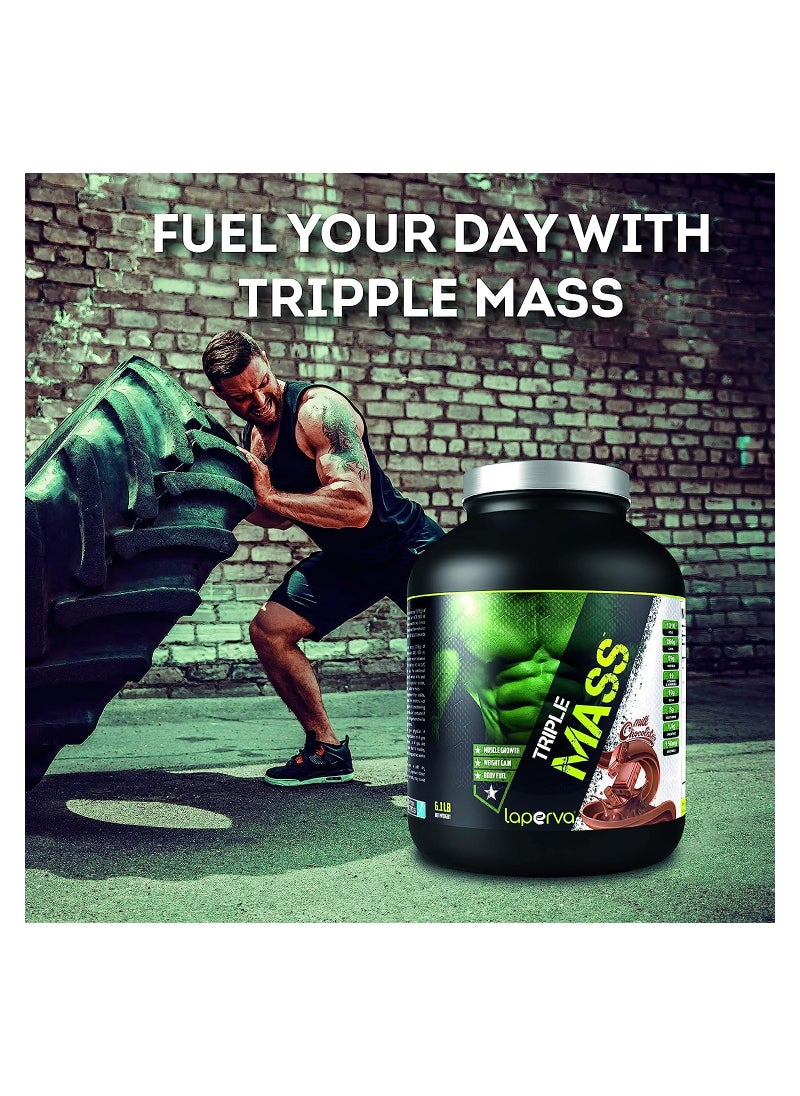 Laperva laperva Triple Mass Gainer Protein Powder, High Calorie Weight Gainer with Glutamine & Added Essential Fatty Acids, 1500mg Added Creatine Blend +10 gm of BCAA (Milk Chocolate, 6 Kg)  - Image 4