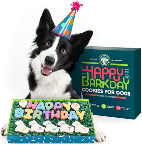 BETAPET Dog Birthday Cookies - Treats for Dogs at Any Age - Made With Human-Grade Ingredients - Happy Bday Cookies for Boy or Girl Puppy - First Bday Gift - Baked Fresh in USA - Image 1