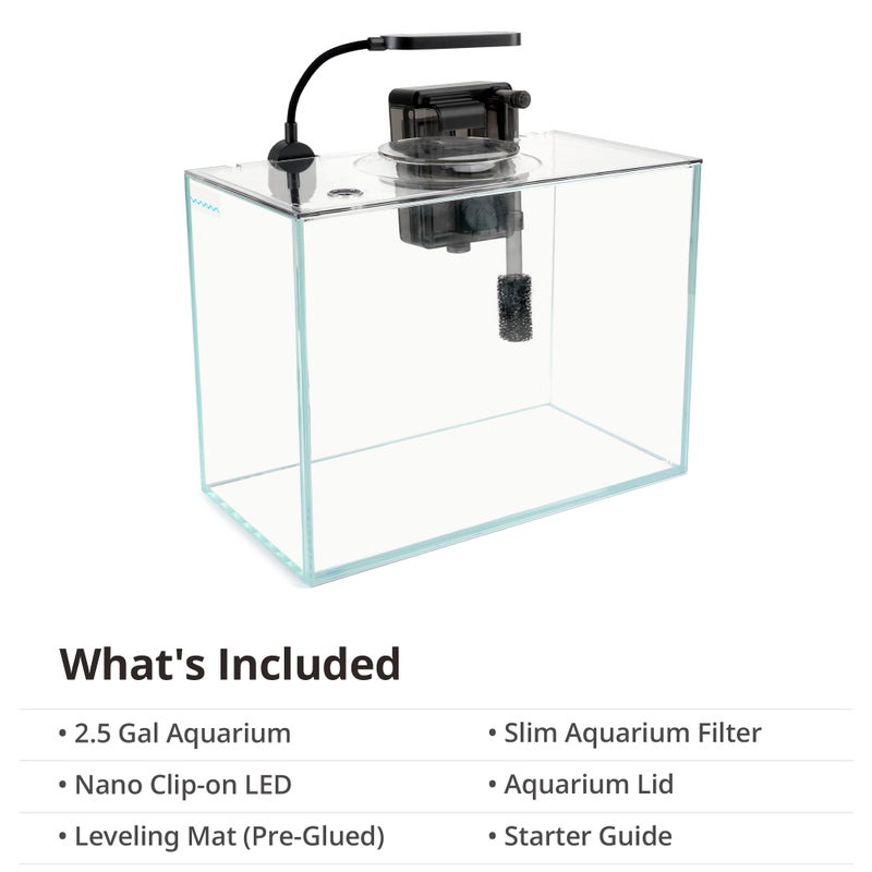 NICREW 2.5 Gallon Nano Nature Aquarium Kit, Ultra-Clear Rimless Desktop Fish Tank with Light and Filter, Perfect for Small Fish, Shrimp, or Betta, Basic Version, Clear - Image 5