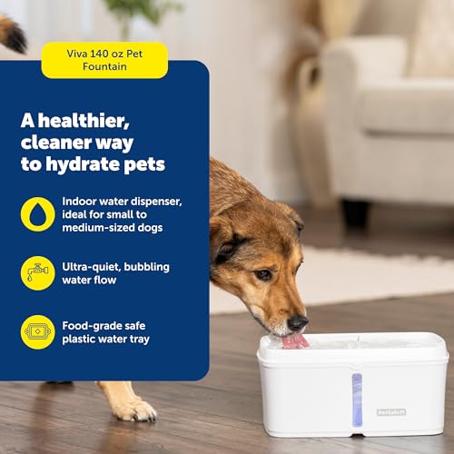 PetSafe Viva Pet Fountain for Cats and Dogs 41L140 oz Indoor Cat Water Fountain with Ultra Quiet Pump Dishwasher Safe Easy to Clean Water Filters Included - Image 3