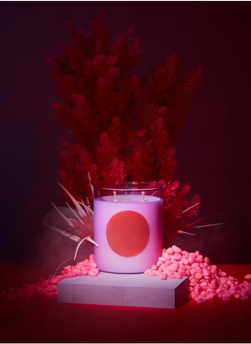 WXY Disco Candle - Orris Root & Amber  Disco Collection- Glass base -premium scented candle -