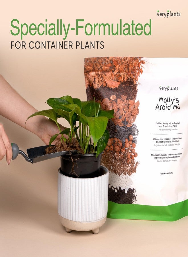 veryplants Molly's Aroid Mix - Premium Soilless Potting Mix for Houseplants - Fast Draining, Chunky & Easier to Water vs. Soil for Indoor Plants - with Bark, Coco Chips, Worm Castings, Mycorrhizae 5 Dry Quarts - Image 3
