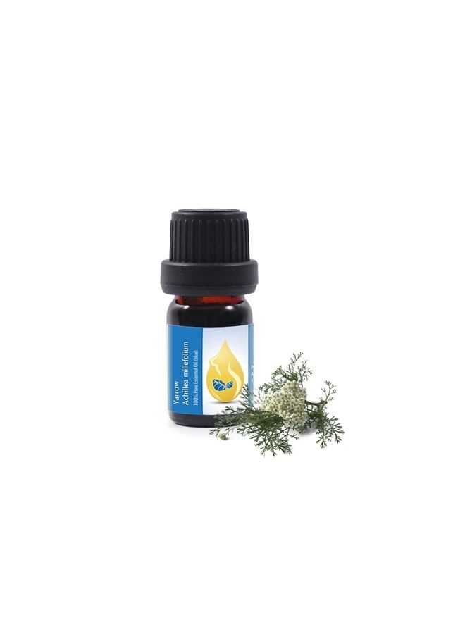 Essences Bulgaria Yarrow Essential Oil 1/3 Fl Oz | 10ml | Achillea millefolium | 100% Pure and Natural | Undiluted | Therapeutic Grade | Family Owned Farm | Steam-Distilled | Non-GMO | Vegan  - Image 1