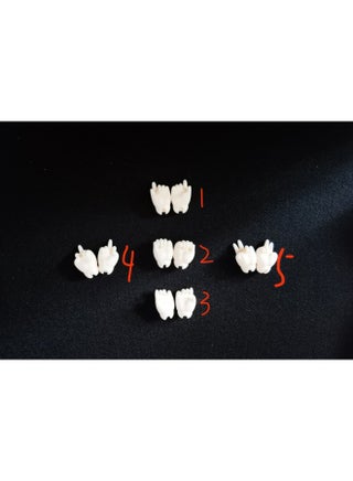 Divide Line Six Points BJD Figure Garden Miss Hand Shape Can Be Used For Mia Pink Doll 1/6 Accessories-Height:Set - pzsku/Z59C1126CD5763D241EA1Z/45/1746192431/4fb6b78e-e243-49e5-b41b-48c8fad7730a