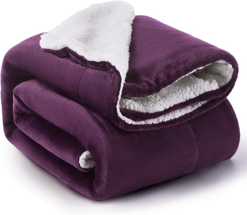 Luxurious Microfiber Queen Size Blankets Soft Cozy Warm Coral Fleece Lightweight for All Seasons for Couch Bed Sofa Exceptional Comfort and Style - Image 1