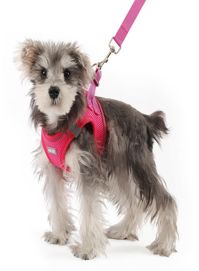 Bolux Dog Harness Small Sized and Leash Set, Step in Soft Light Puppy Vest, Breathable Mesh Pet Harness, Reflective for Safe Easy Walking. - Image 1