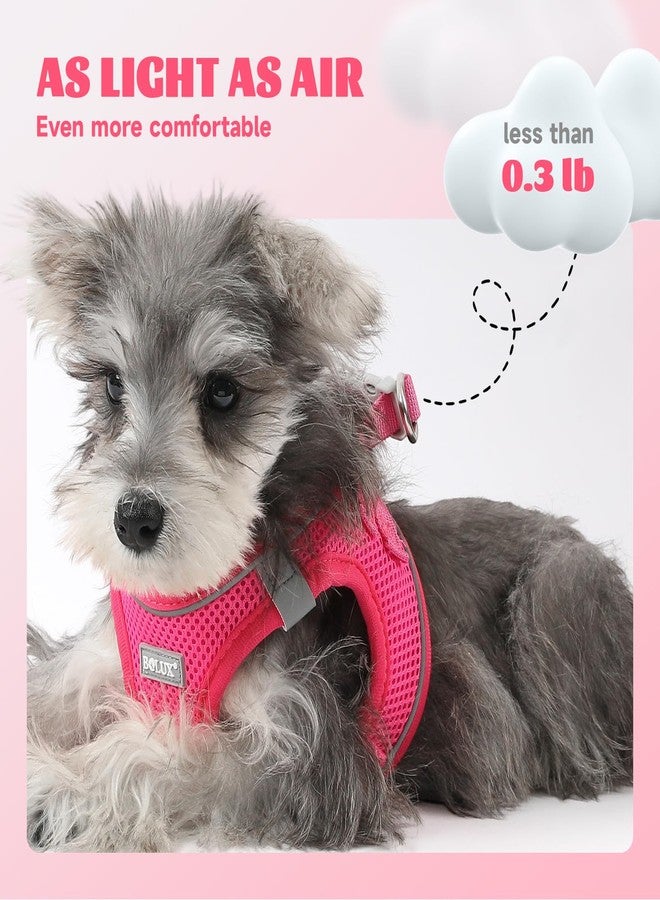 Bolux Dog Harness Small Sized and Leash Set, Step in Soft Light Puppy Vest, Breathable Mesh Pet Harness, Reflective for Safe Easy Walking. - Image 4