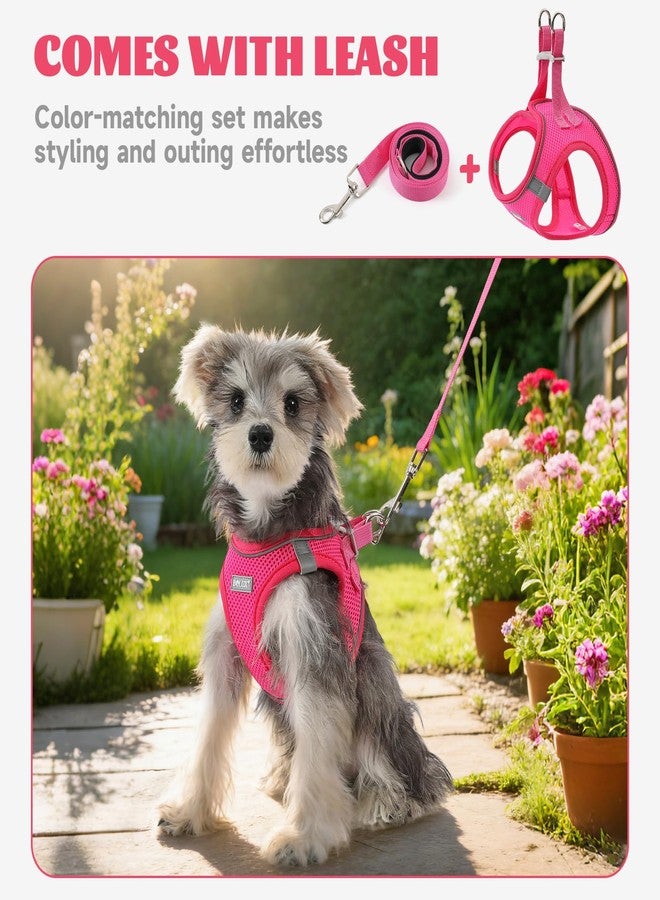 Bolux Dog Harness Small Sized and Leash Set, Step in Soft Light Puppy Vest, Breathable Mesh Pet Harness, Reflective for Safe Easy Walking. - Image 5