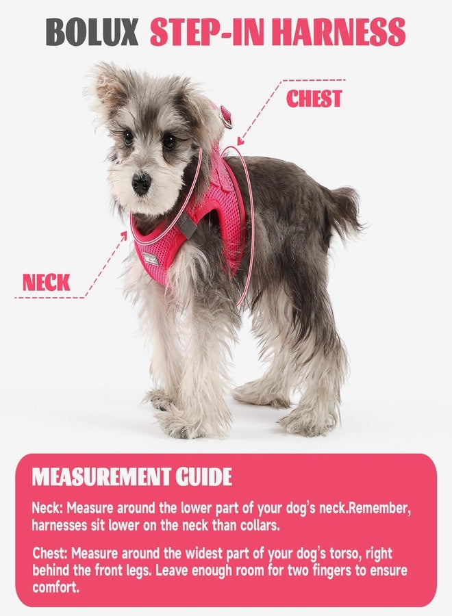 Bolux Dog Harness Small Sized and Leash Set, Step in Soft Light Puppy Vest, Breathable Mesh Pet Harness, Reflective for Safe Easy Walking. - Image 2