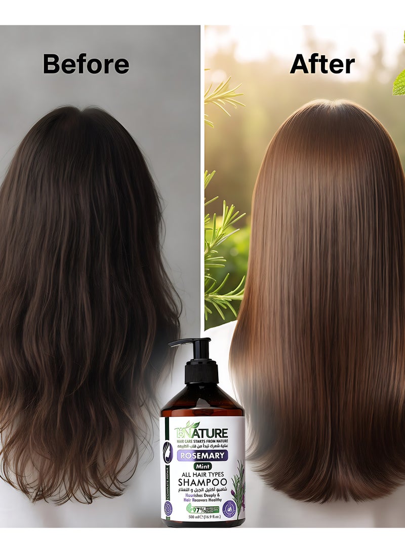 باي نيتشر شامبو باي نيتشر بإكليل الجبل والنعناع 500 مل | شامبو طبيعي خالي من السلفات | يغذي ويقوي وينعش فروة الرأس | مضاد للقشرة – يعزز نمو الشعر ويمنحه لمعانًا | مناسب لجميع أنواع الشعر للرجال والنساء - Image 5