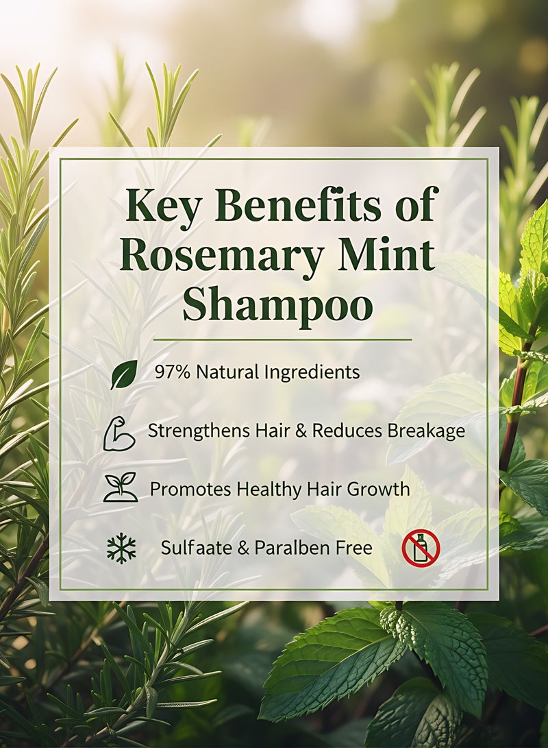 باي نيتشر شامبو باي نيتشر بإكليل الجبل والنعناع 500 مل | شامبو طبيعي خالي من السلفات | يغذي ويقوي وينعش فروة الرأس | مضاد للقشرة – يعزز نمو الشعر ويمنحه لمعانًا | مناسب لجميع أنواع الشعر للرجال والنساء - Image 3