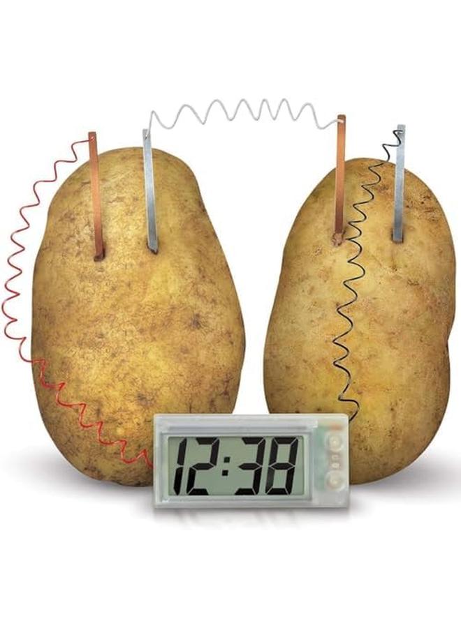 4m Kidz Labs Green Science Potato Clock - Image 3