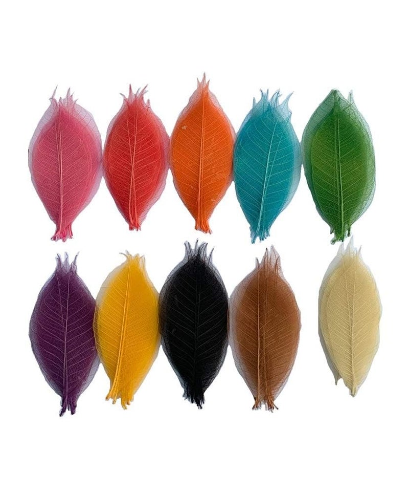 RATREE 888 100 Pcs Mixed Colors 4-5 Inches Skeleton Leaves Rubber Tree Natural Scrapbook Craft, Card Wedding, DIY Craft, Bouquets, Seasonal Gift Large Leaves - Image 1