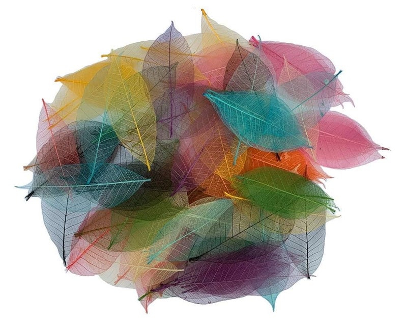 RATREE 888 100 Pcs Mixed Colors 4-5 Inches Skeleton Leaves Rubber Tree Natural Scrapbook Craft, Card Wedding, DIY Craft, Bouquets, Seasonal Gift Large Leaves - Image 2