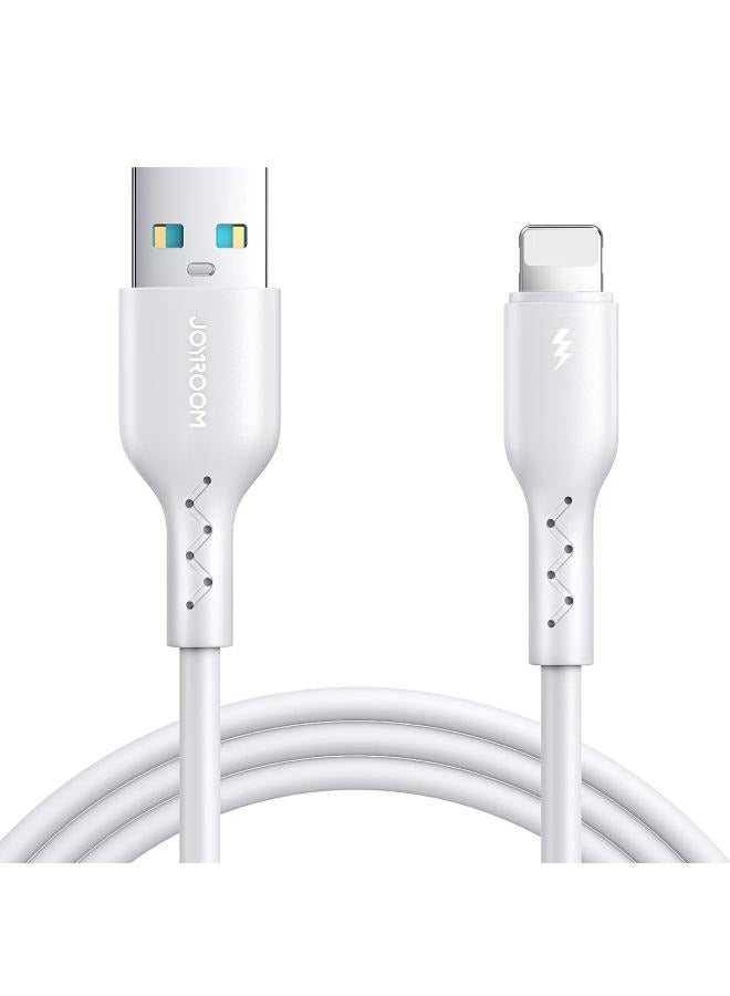سلسلة Flash-Charge \SA26 مضمونة من قبل Agent Trust - Image 1