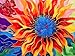 Cross & Glory Cross Glory Vibrant Firelit Dahlias Dance 1000 Piece Jigsaw Puzzle for Adults Vibrant Artistry 20 x 27 Inches - Image 2