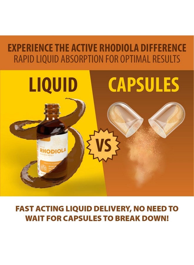 Rejuvica Health Active Rhodiola - Rhodiola Root Extract with Natural Occuring Rosavins, Liquid Delivery for Better Absorption - Supports Energy Levels and Stress Relief  - Image 5