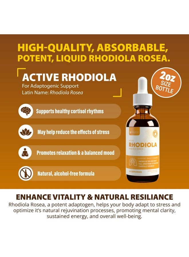 Rejuvica Health Active Rhodiola - Rhodiola Root Extract with Natural Occuring Rosavins, Liquid Delivery for Better Absorption - Supports Energy Levels and Stress Relief  - Image 3