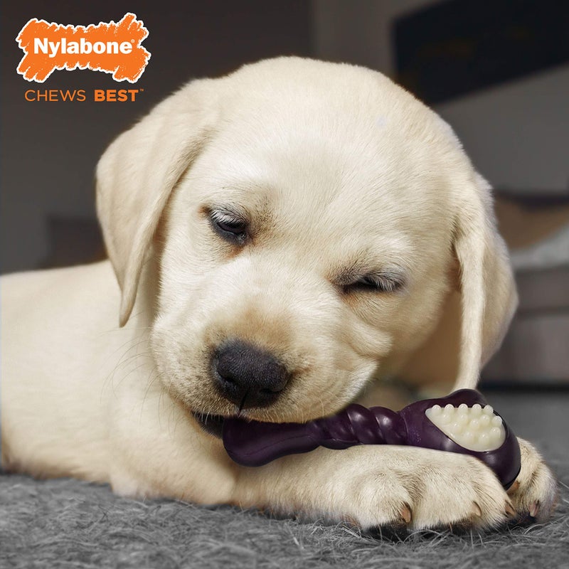 Nylabone Double Action Bone Puppy Chew Toy, Rubber Teething Toys for Puppies, Puppy Chew Bone, Bacon Flavor, Small Dogs - Up to 25 lbs., 1 Count - Image 2