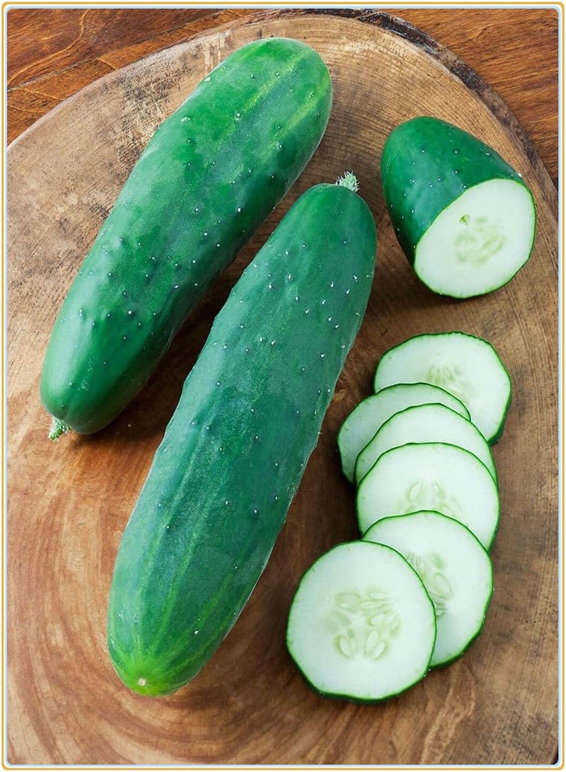 GGOOT Cucumber Seeds, Plant Your own Cucumbers, Delicious and Simple to plant-400Pcs - Image 1