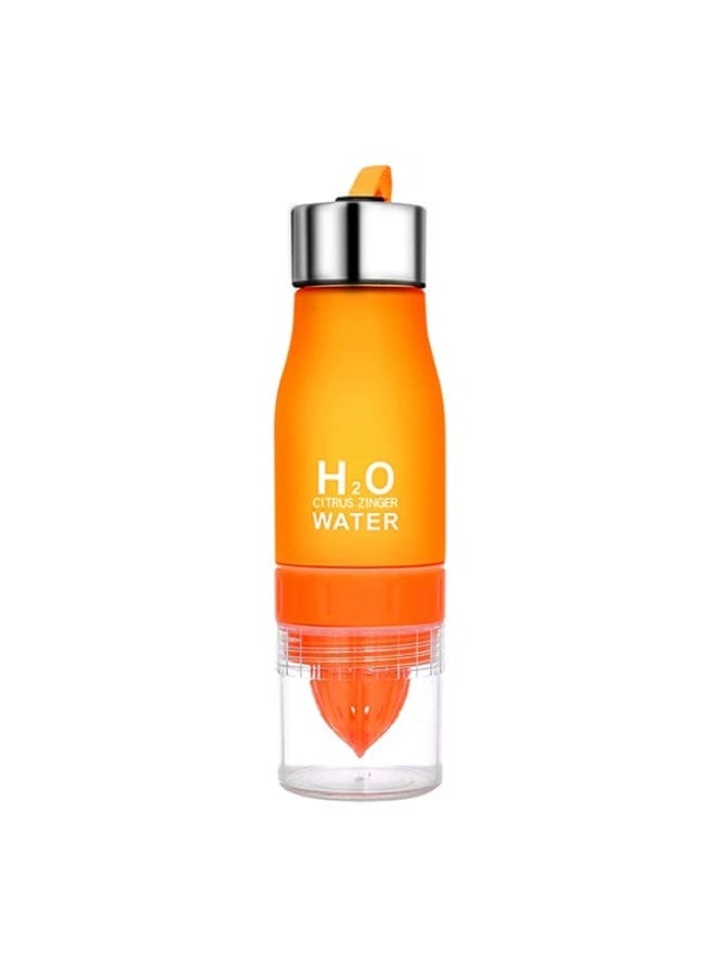 New Xmas Gift 650ml Water Bottle Plastic PET Fruit Infusion Bottle Infuser Drink Outdoor Sports Juice Lemon Portable Kettles - Image 2