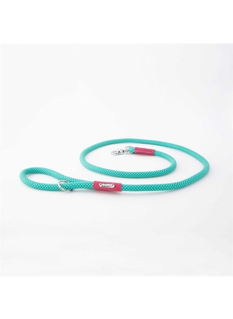Mod Essentials Leash Teal Dog Lead