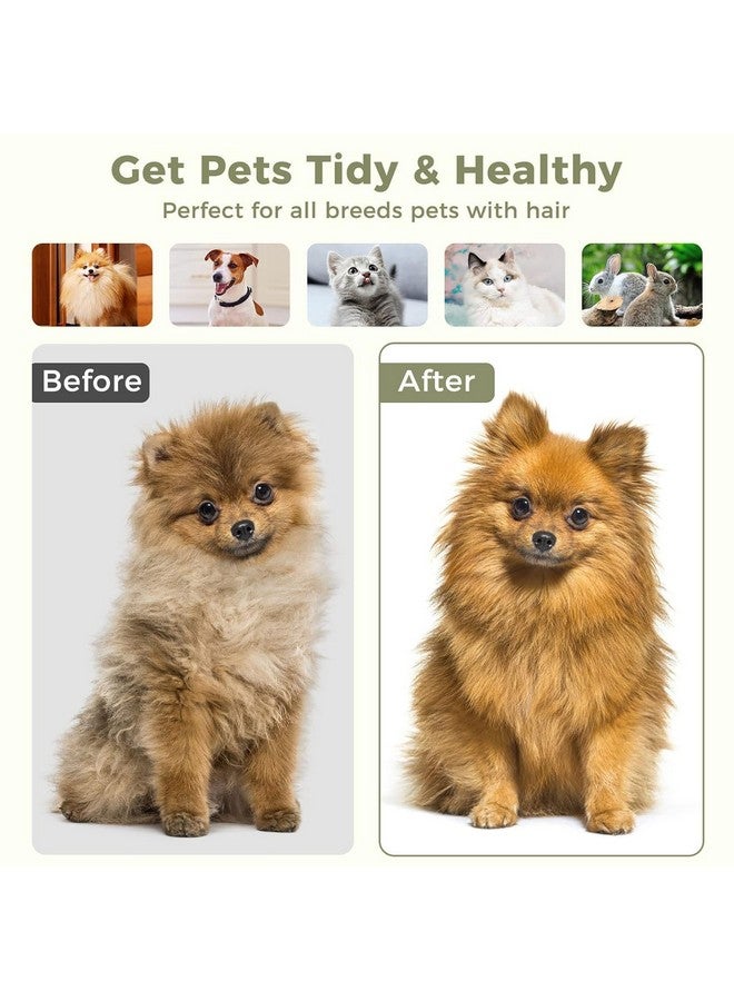 VAYINATO Sunflower Shaped One Click Pet Hair Removal And Massaging Stainless Steel Brush Comb With Skin Safe Tip For Both Dogs And Cat Grooming, Self Cleaning Pet Hair Shedding Tool (Green) - Image 4