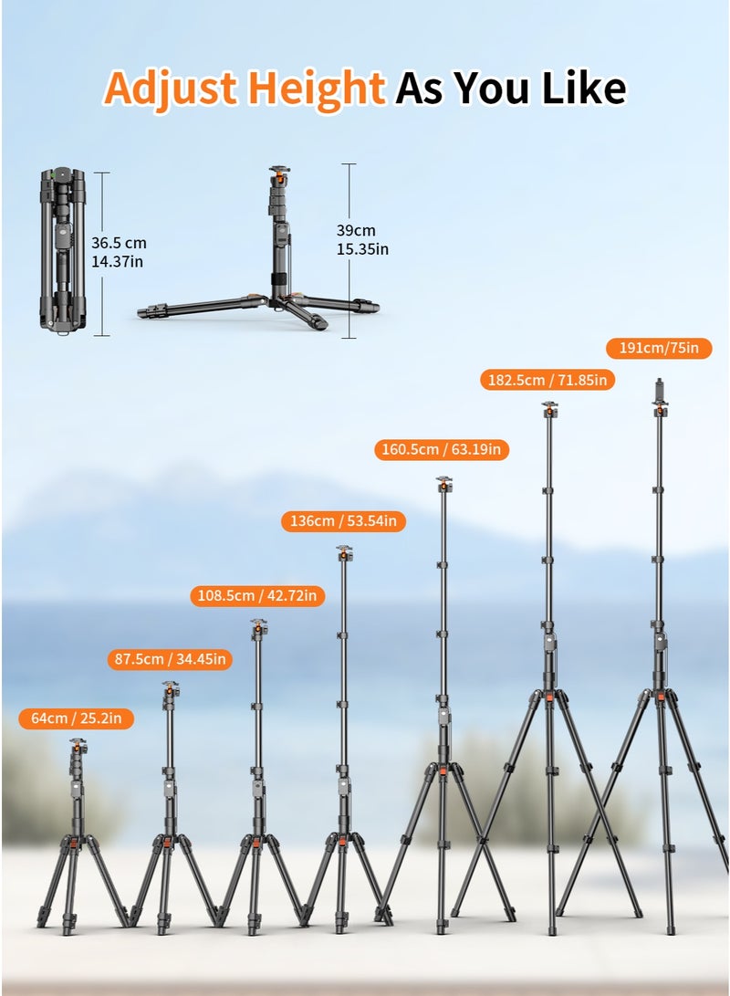 TONEOF 191cm Camera Tripod Stand with Adjustable Ball Head, with 10m Remote Control and Cell Phone Clamp, Removable Tripod Base, Multifunctional Camera Tripod and Monopod for Camera, Smartphone, Projector and Ring Light - Image 5