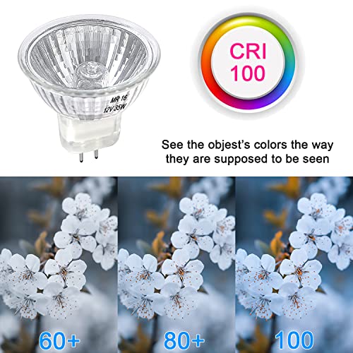 Lacnooe MR16 Halogen Bulb 35W Dimmable 12V GU5.3 Bi-pin Base Spotlight with Long Lifespan, 6 Pack MR16 Bulbs with Clear Glass Cover for Landscape Lights, Track Lights, Fiber Optics, 2700K Warm White - Image 4