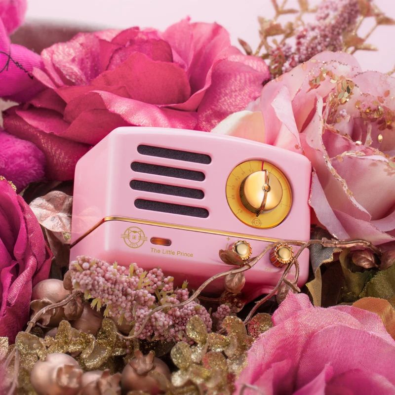 Muzen The Little Prince Desktop Mini Speaker with OTR FM Radio Bluetooth Wireless Metal Music Player, Pink - Image 4