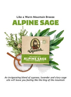 Dr. Squatch Men'S Bar Soap - 3-Pack Alpine Sage - All Natural Bar Soap For Men - 3 Bars Of Soap - Smell Like A Warm Mountain Breeze  - Image 2