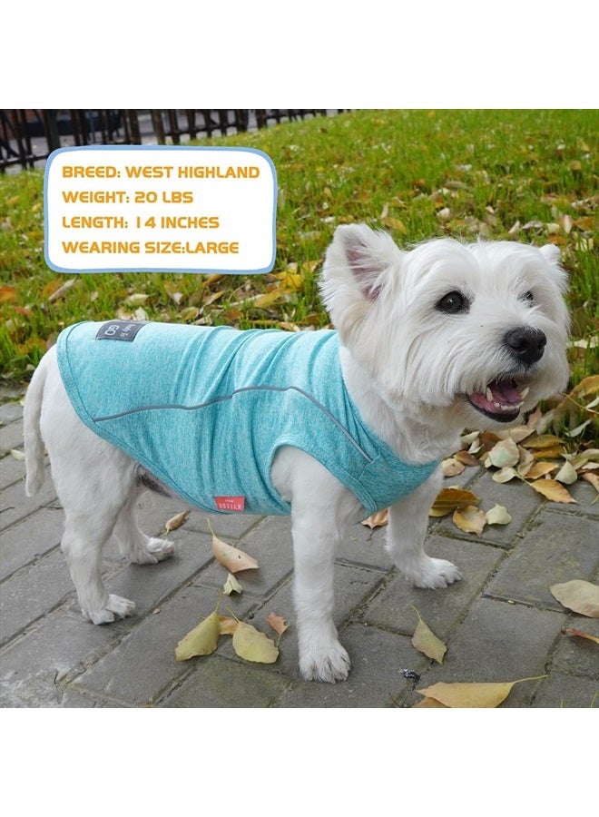 Dogs Shirt for Small Dogs Quick Dry Soft Breathable Protects Against Foxtails Dog T-Shirt with Reflective Stripe Athletic Tank Top Stretchy Sleeveless Vest Dog Clothes, Lake Blue, L