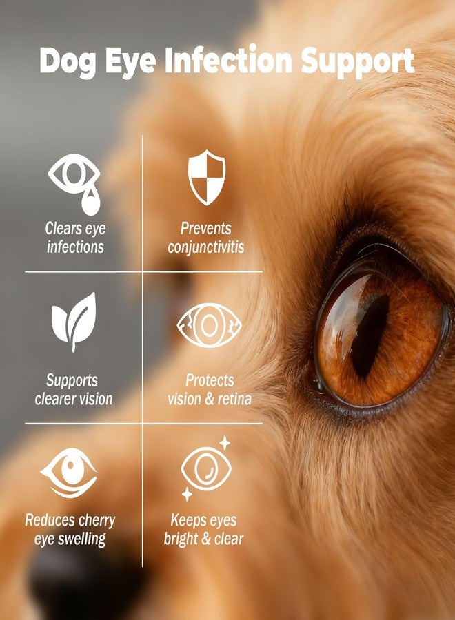 VivaElixir Dog Eye Infection & Eye Care Support Supplements | All-Natural Support for Conjunctivitis, Swelling, Dry Eyes, Tear Stains & Discharge | with L-Lysine, Omega-3 & Lutein + Zeaxanthin | 2.03 fl oz - Image 2