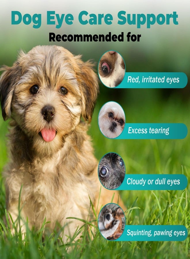 VivaElixir Dog Eye Infection & Eye Care Support Supplements | All-Natural Support for Conjunctivitis, Swelling, Dry Eyes, Tear Stains & Discharge | with L-Lysine, Omega-3 & Lutein + Zeaxanthin | 2.03 fl oz - Image 5